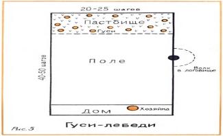 Гуси -лебеди схема.jpg